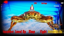 Fight Crab 