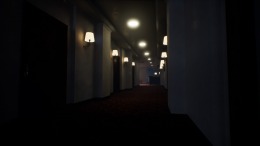   Hotel in the Dark