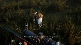  Hunting Simulator 2