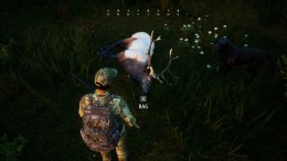   Hunting Simulator 2