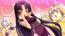 Koihime Enbu   PC