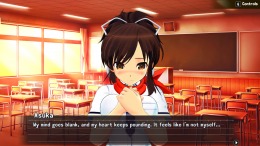   SENRAN KAGURA Reflexions