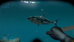  Shark Attack Deathmatch 2