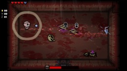 The Binding of Isaac: Afterbirth  PC