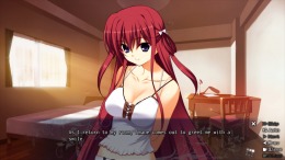 The Labyrinth of Grisaia  PC