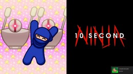   10 Second Ninja