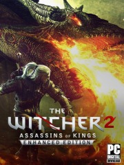 The Witcher 2: Assassins of Kings