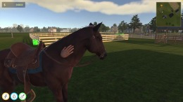 Animal Trainer Simulator  