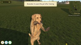   Animal Trainer Simulator