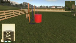  Animal Trainer Simulator