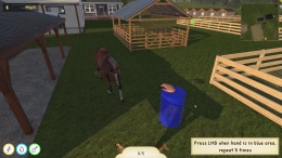 Animal Trainer Simulator 