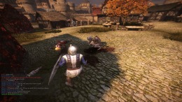   Chivalry: Medieval Warfare