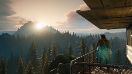  Days Gone