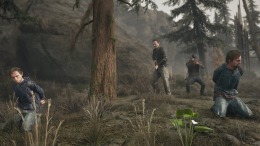 Days Gone  PC