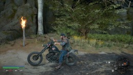   Days Gone