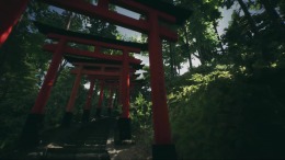   Explore Fushimi Inari