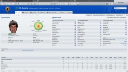 Football Manager 2011  