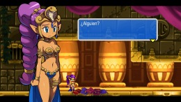 Shantae and the Pirate's Curse  PC