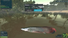  Ultimate Fishing Simulator VR