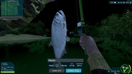   Ultimate Fishing Simulator VR