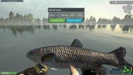 Ultimate Fishing Simulator VR  PC