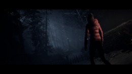 Until Dawn  PC