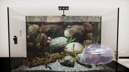   Aquatic Store Simulator