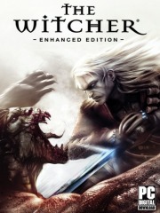 The Witcher