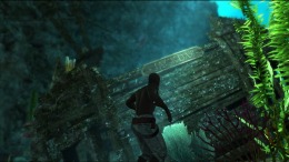  Assassin's Creed Freedom Cry
