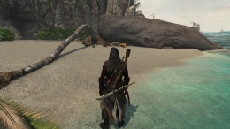   Assassin's Creed Freedom Cry