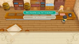 STORY OF SEASONS: Friends of Mineral Town  