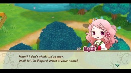  STORY OF SEASONS: Friends of Mineral Town