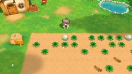   STORY OF SEASONS: Friends of Mineral Town