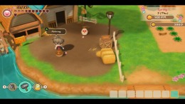 STORY OF SEASONS: Friends of Mineral Town  PC