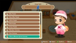   STORY OF SEASONS: Friends of Mineral Town