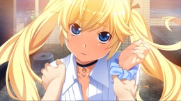   The Fruit of Grisaia