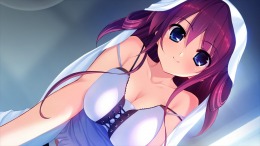 The Fruit of Grisaia  PC