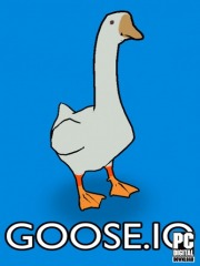 GOOSE.IO