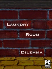 Laundry Room Dilemma