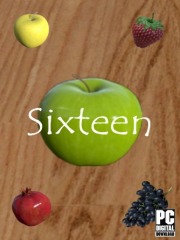 Sixteen