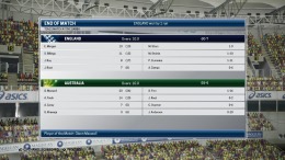 Ashes Cricket  PC