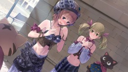  Atelier Rorona ~The Alchemist of Arland~ DX