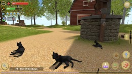  Cat Simulator : Animals on Farm