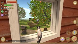   Cat Simulator : Animals on Farm