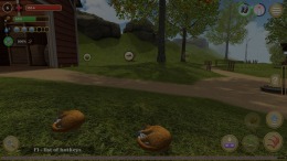  Cat Simulator : Animals on Farm