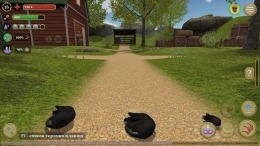   Cat Simulator : Animals on Farm