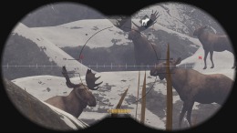  Deer Hunter: Reloaded