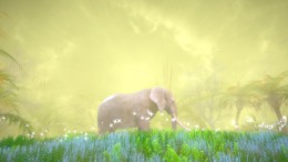 Hidden Treasures in the Forest of Dreams  PC