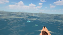 Kayak VR: Mirage  PC