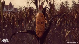   Maize